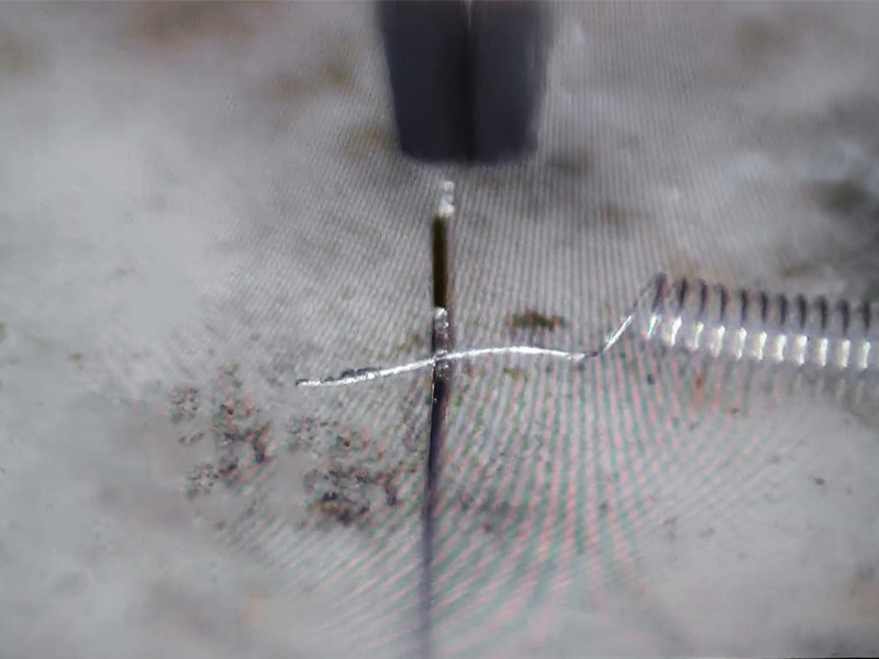 鉑絲和銥合金彈簧焊接